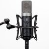 Slate Digital VMS ML-1A Modeling Microphone